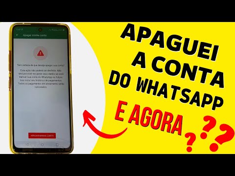 Se eu desinstalar o WhatsApp, perco meus contatos?