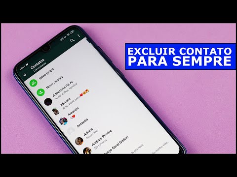 Se eu excluir um contato do WhatsApp, ele consegue ver meu status?